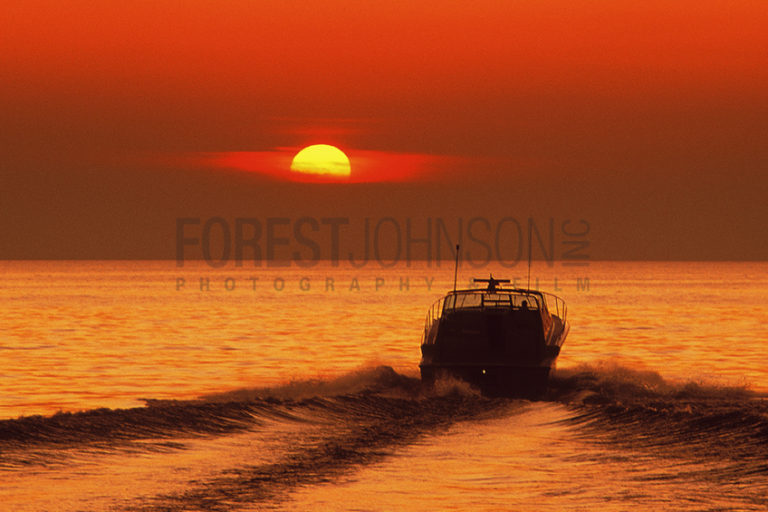 Into Sunset - Forest Johnson Photo