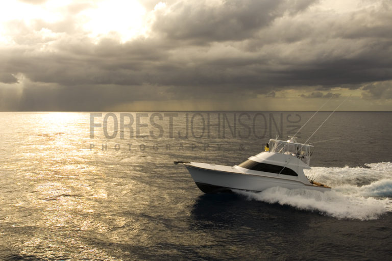 Storm Search - Forest Johnson Photo