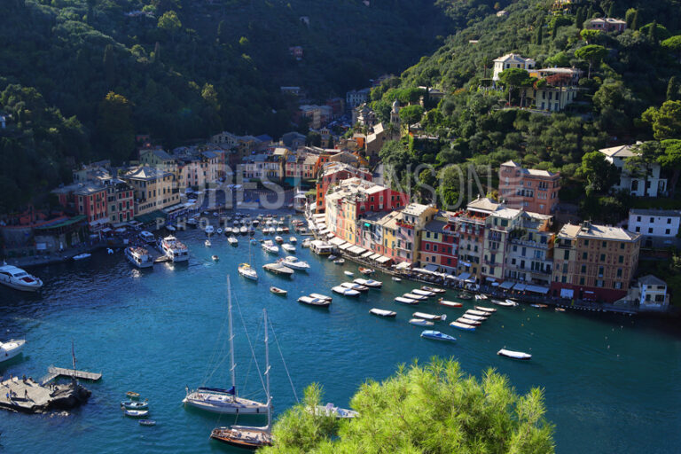 Portofino - Forest Johnson Photo